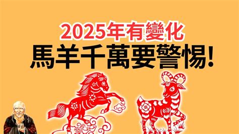 2025年 生肖|2025年，12生肖運勢詳解